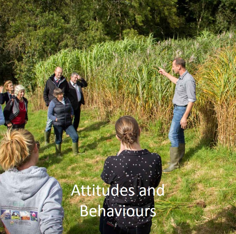 More about attitudes and behaviours