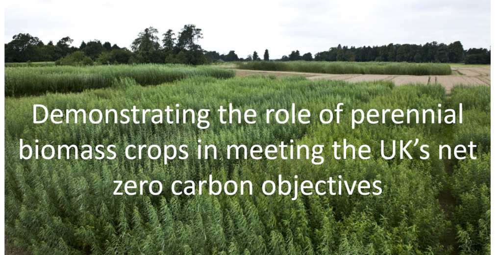 Demonstrating the role of perennial biomass crops in meeting the UK's net zero carbon objectives