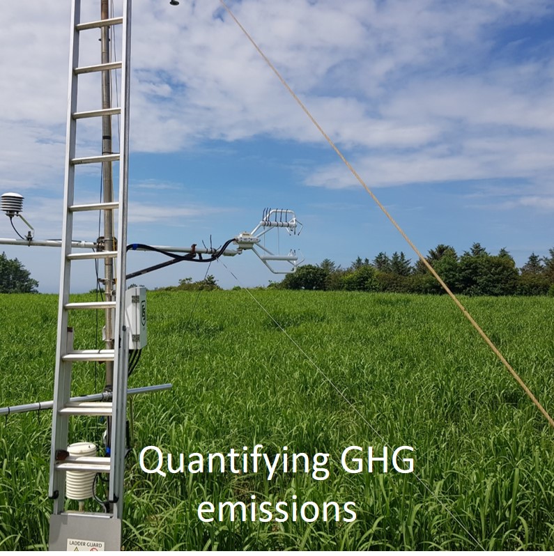 Learn more about quantifying GHG emissions