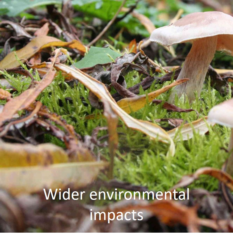 Learn more about crop environmental impacts